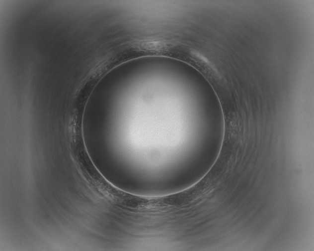 X0000074040739200608211518