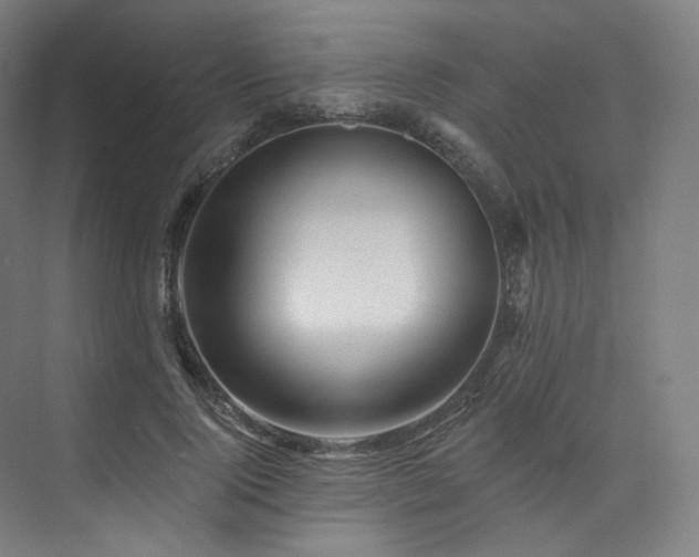 X0000074040740200608211518