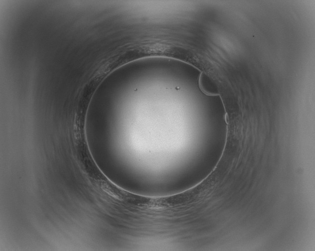 X0000074040743200608211518