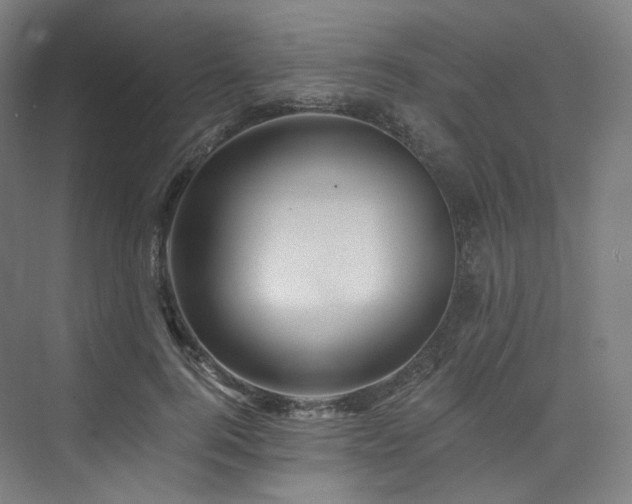 X0000074040744200608211518