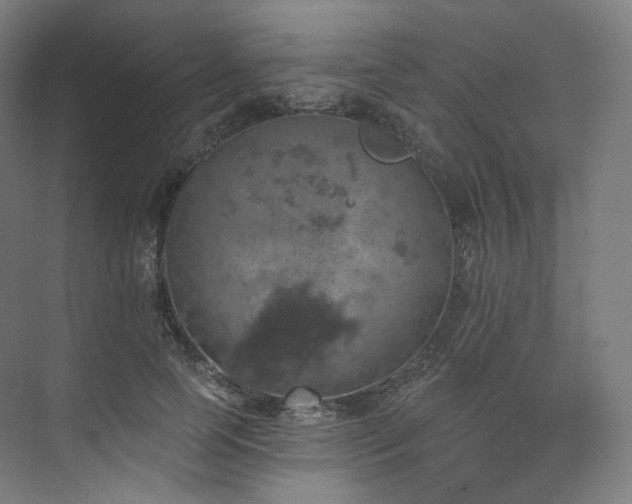 X0000074040745200608211518