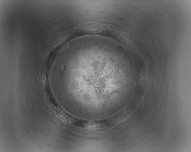 X0000074040746200608211518