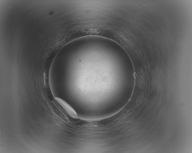 X0000074040747200608211518