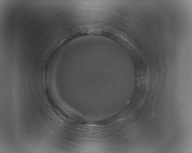 X0000074040748200608211518