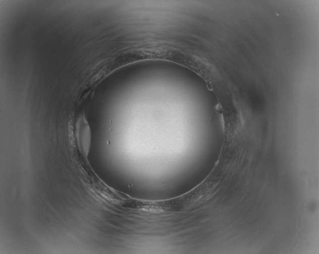 X0000074040749200608211518