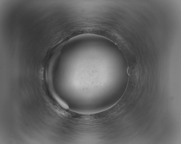 X0000074040750200608211518