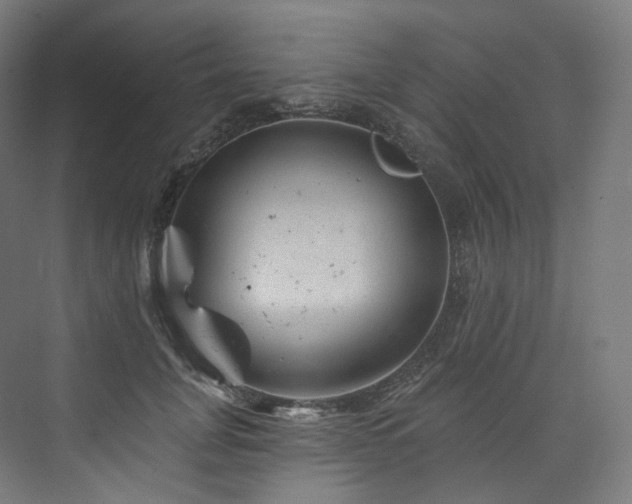 X0000074040751200608211518