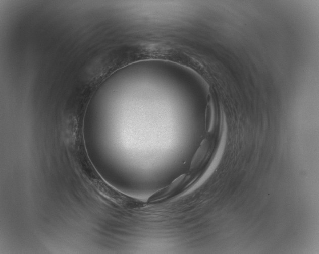 X0000074040752200608211518