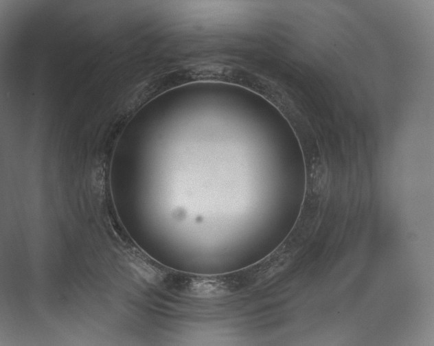 X0000074040753200608211518