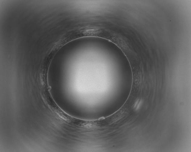 X0000074040755200608211518