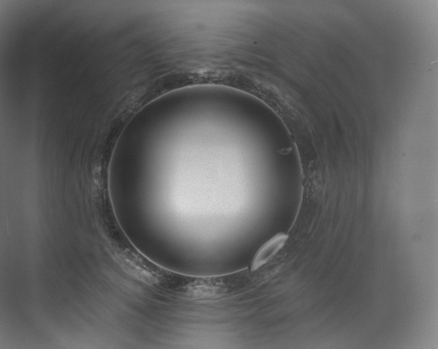 X0000074040756200608211518