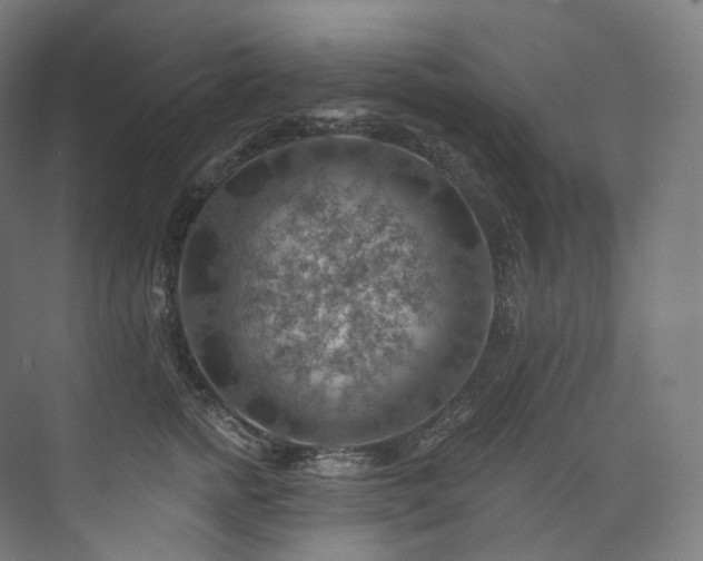 X0000074040758200608211518