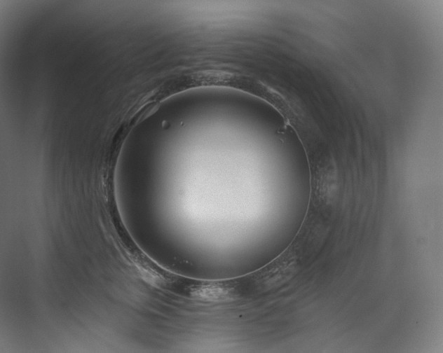 X0000074040759200608211518