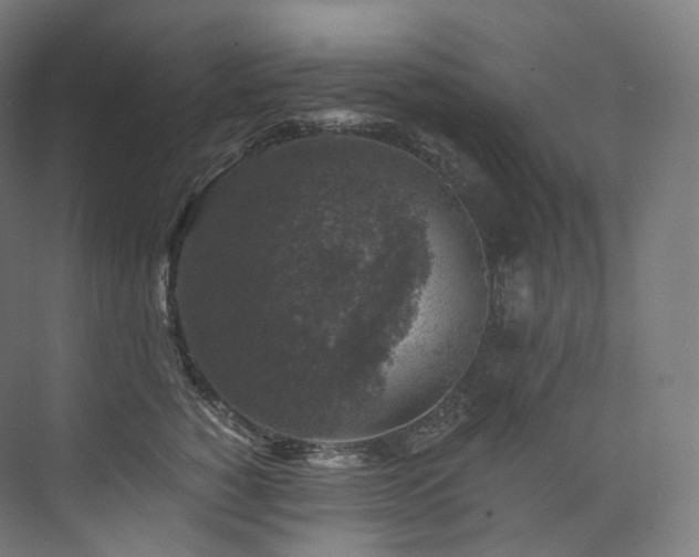 X0000074040760200608211518