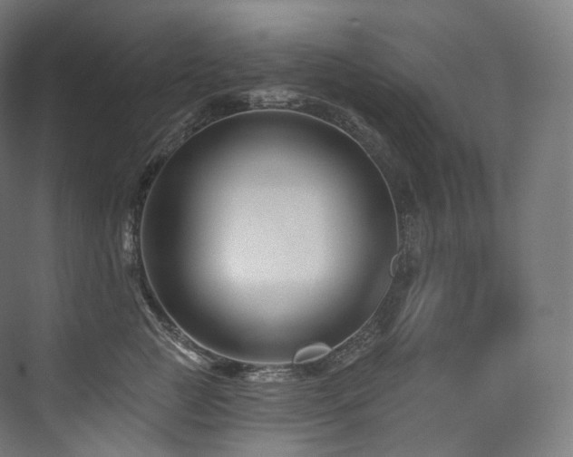 X0000074040761200608211518