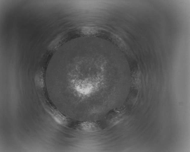 X0000074040762200608211518