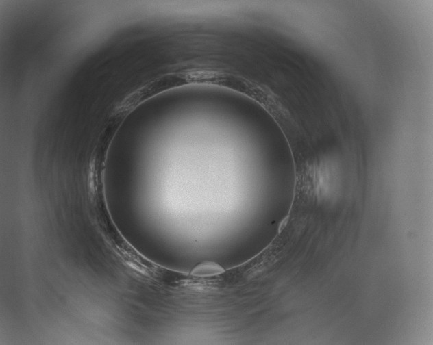 X0000074040763200608211518