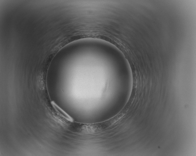 X0000074040764200608211518