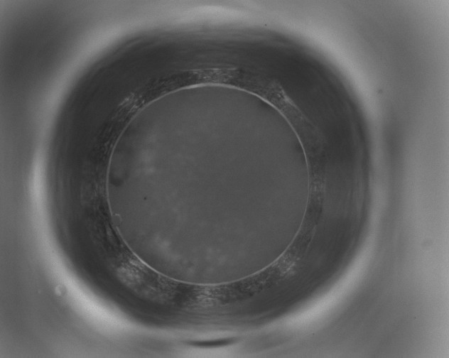 X0000074040765200608211518