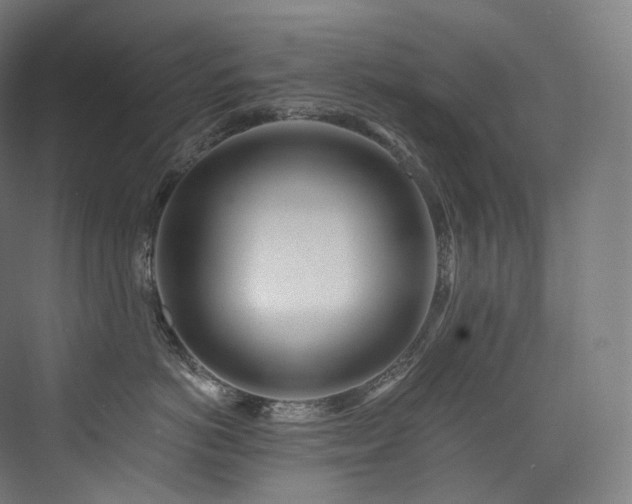 X0000074040766200608211518