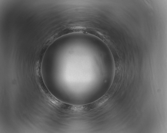 X0000074040767200608211518