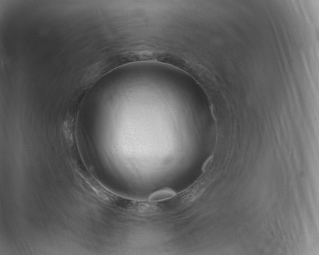 X0000074040768200608211518