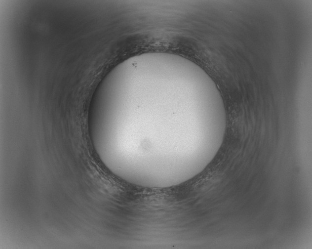 X0000074040769200608211517