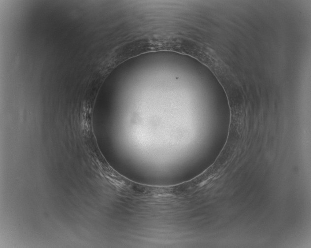 X0000074040770200608211517