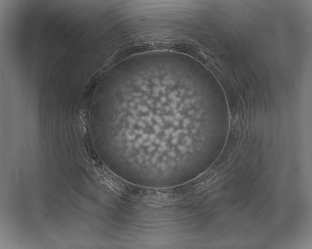 X0000074040772200608211517