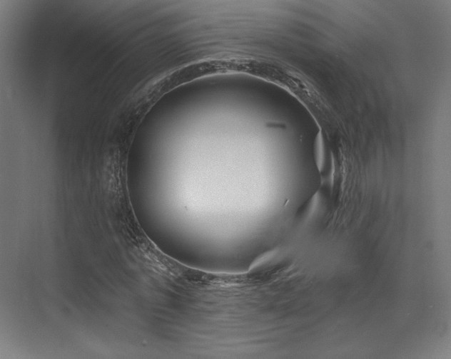 X0000074040773200608211517