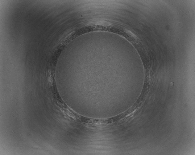 X0000074040774200608211517