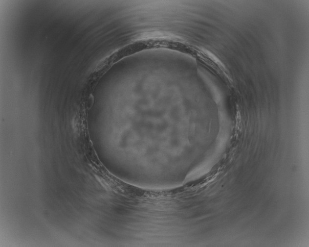 X0000074040775200608211517