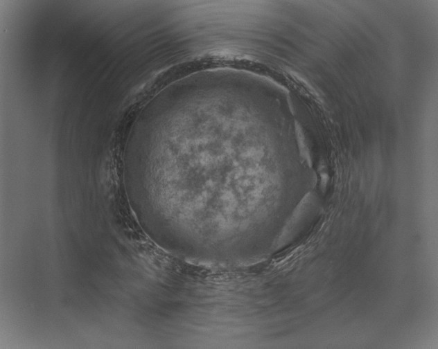 X0000074040776200608211517