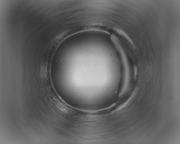 X0000074040777200608211517