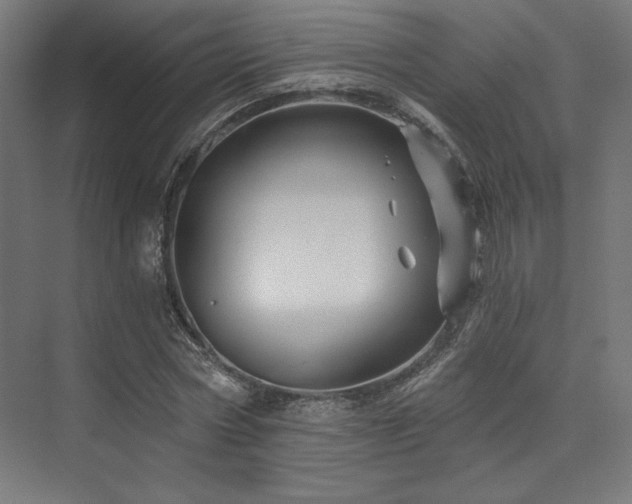 X0000074040778200608211517