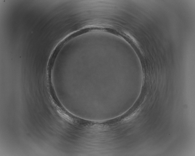 X0000074040779200608211517