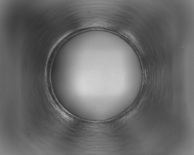 X0000074040780200608211517