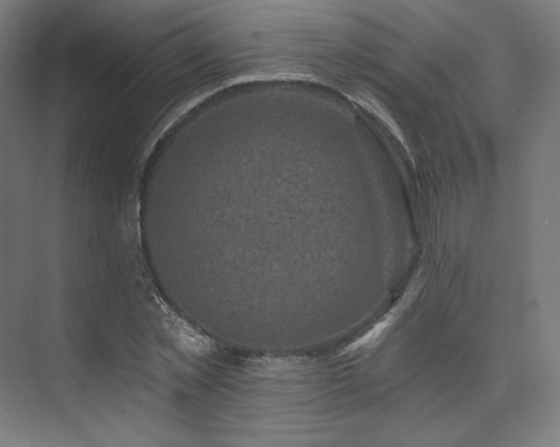 X0000074040781200608211517