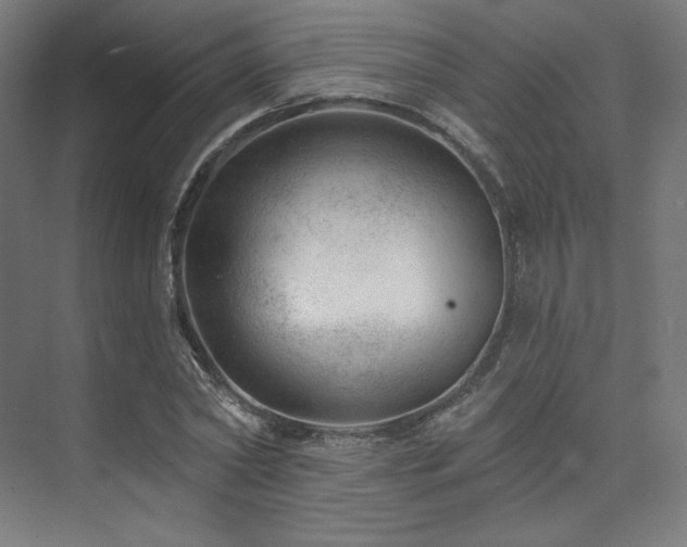 X0000074040782200608211517