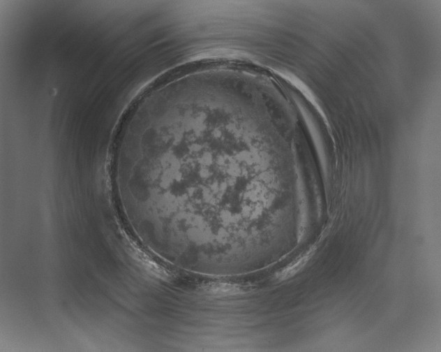 X0000074040783200608211517