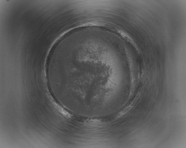 X0000074040784200608211517