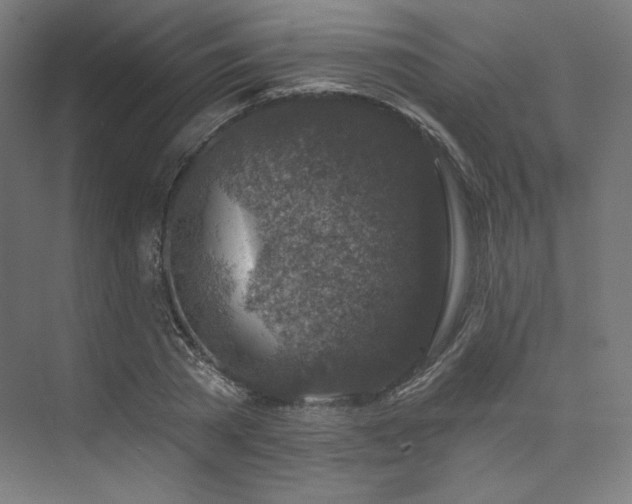 X0000074040785200608211517