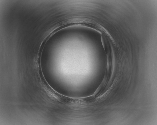 X0000074040786200608211517