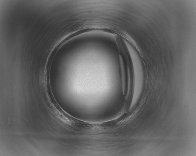 X0000074040787200608211517