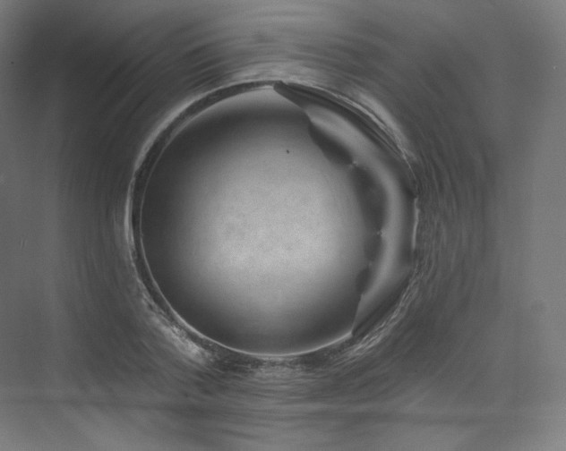 X0000074040788200608211517