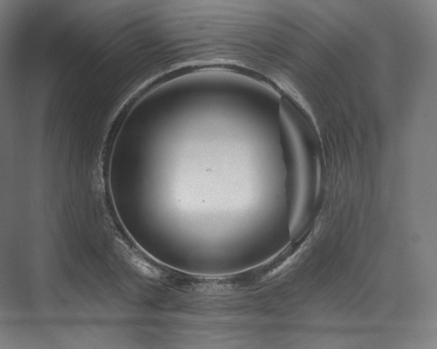 X0000074040789200608211517