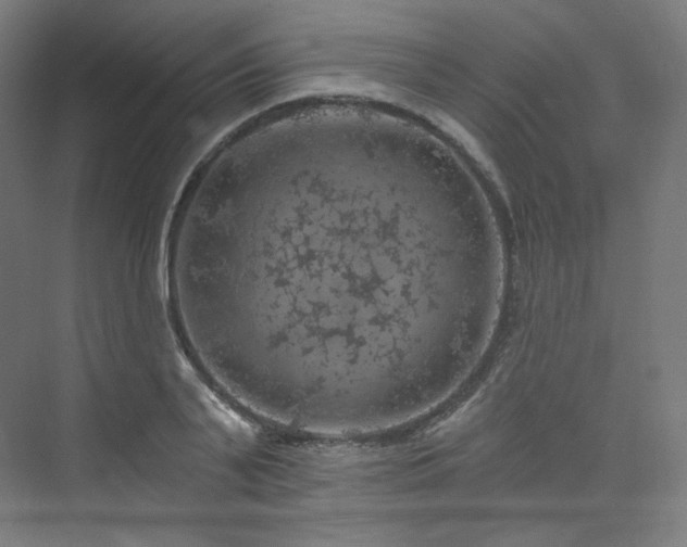 X0000074040791200608211517