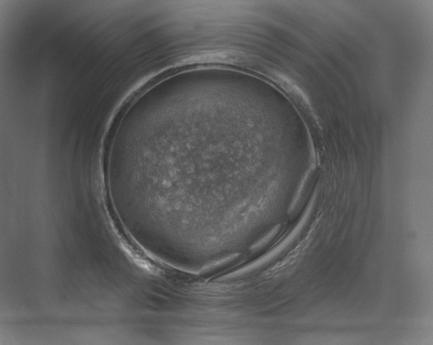 X0000074040792200608211517