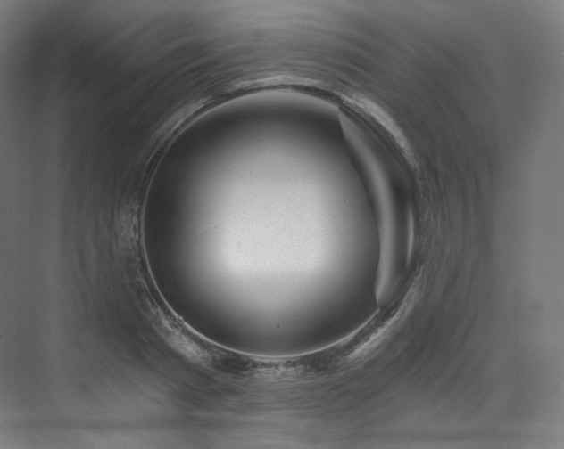 X0000074040793200608211517