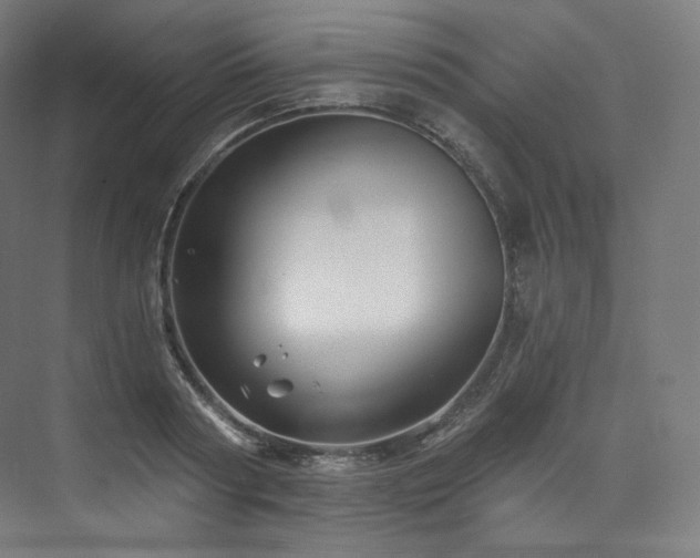 X0000074040794200608211517